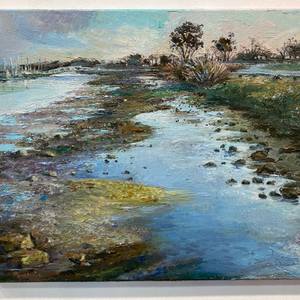 Tidal Marsh